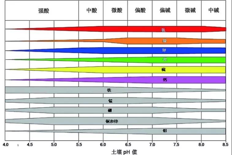 土壤PH速測儀，快速測PH